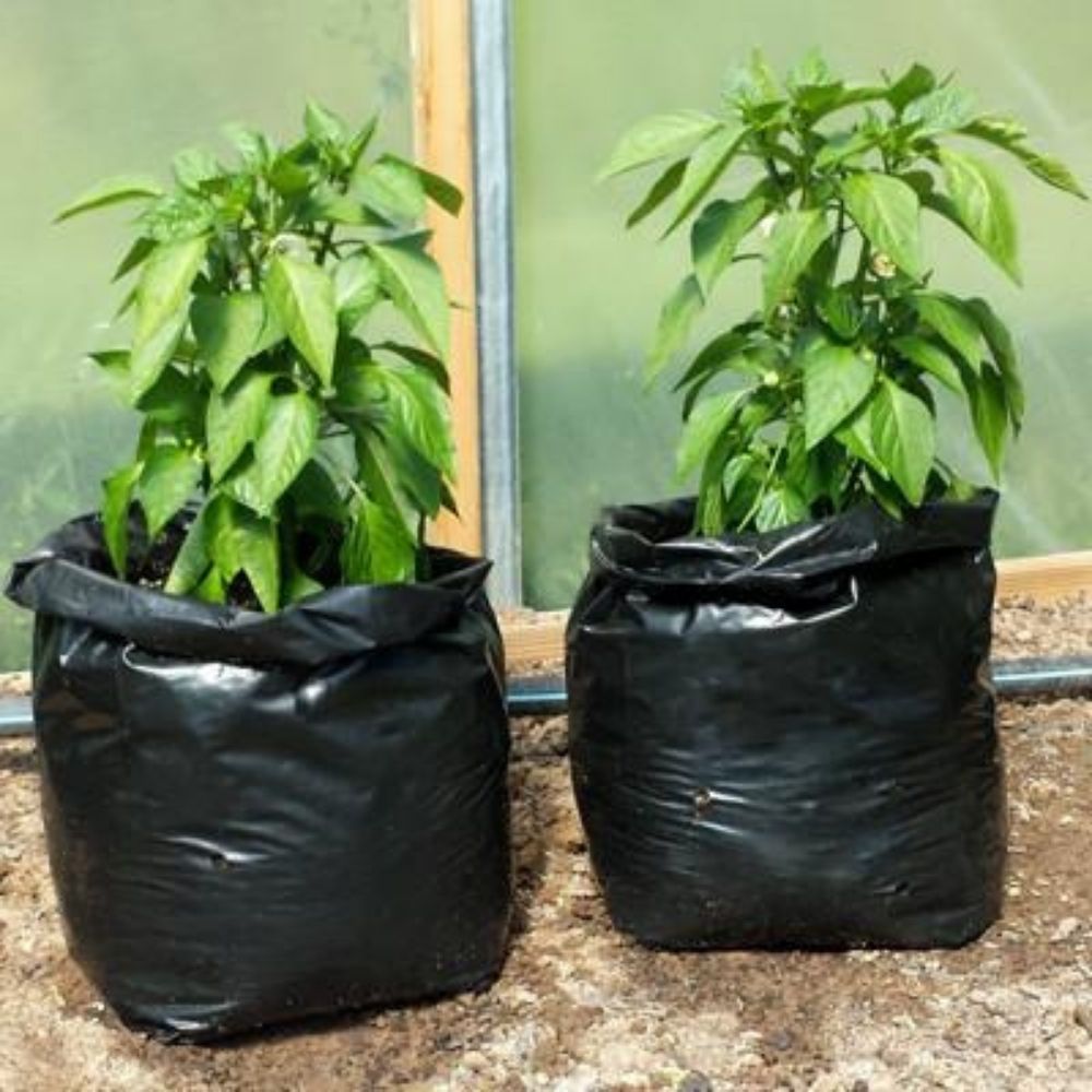 plant nursery bag