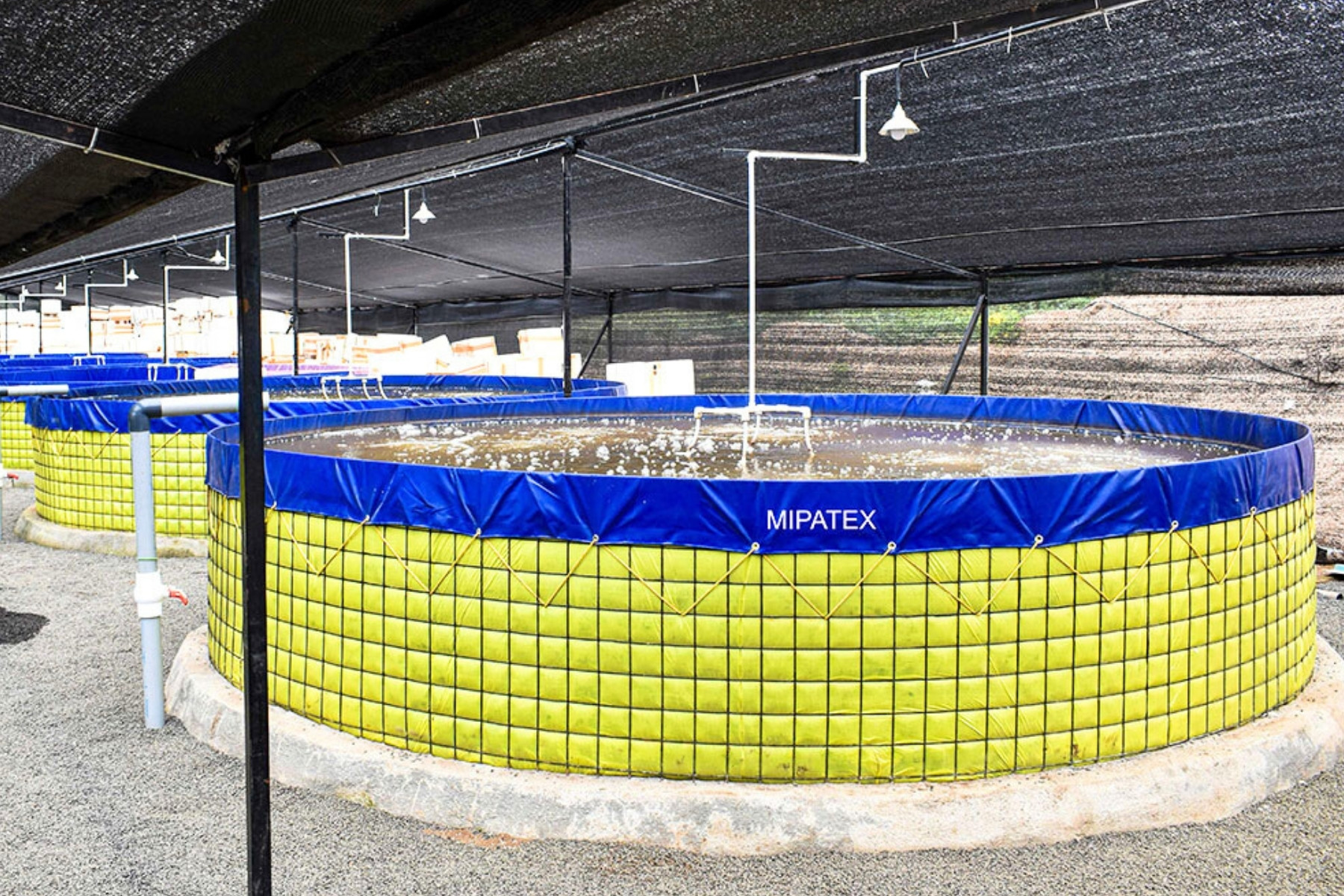 MIPATEX Geo Line Tank liner for biofloc aquaculture and water storage