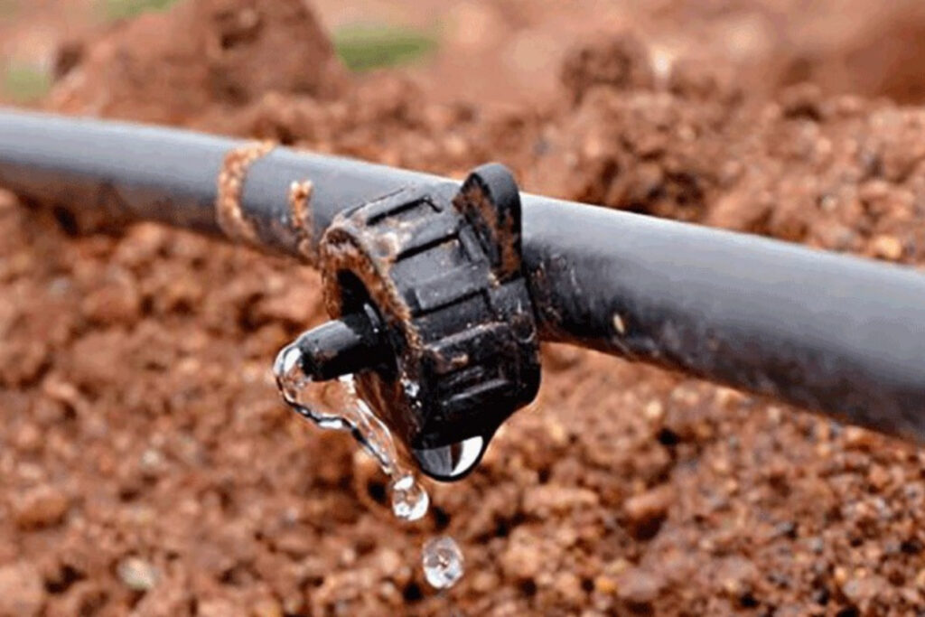 Online dripper attached to a drip irrigation pipe releasing water into the soil
